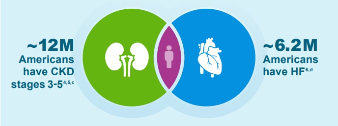 Heart Kidney Connection Prevalence Infographic Heart Kidney Connection Prevalence Infographic